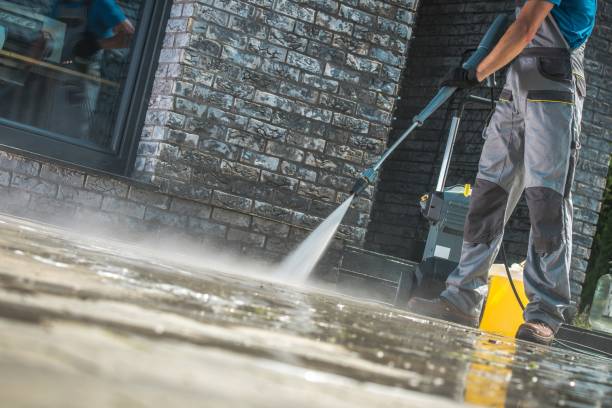 Best House Exterior Washing  in Roanoke Rapids, NC
