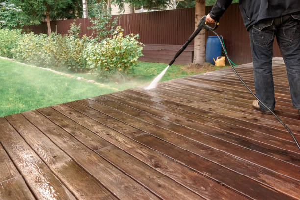 Professional Pressure Washing in Roanoke Rapids, NC