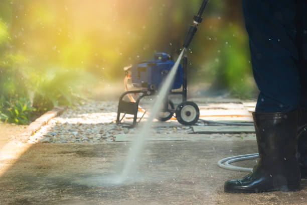 Best Soft Washing  in Roanoke Rapids, NC